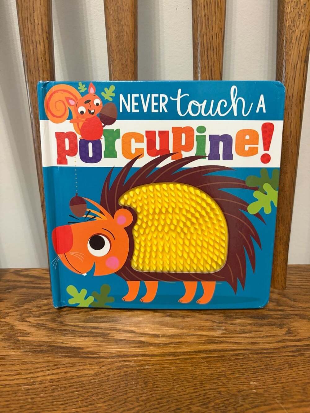 Never Touch a Porcupine! Board Book by Rosie Greening